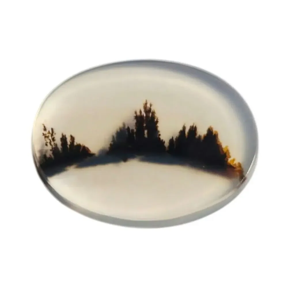 Gem Quality Dendritic Agate Cabochon 3D Tree Line Landscape Stone